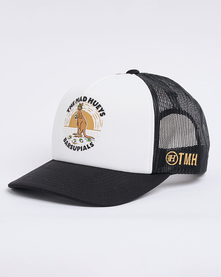 Trend Skate n Surf